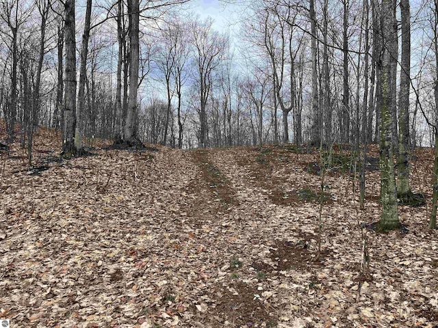 LOT15 S Mistys Trl, Empire MI, 49630 land for sale