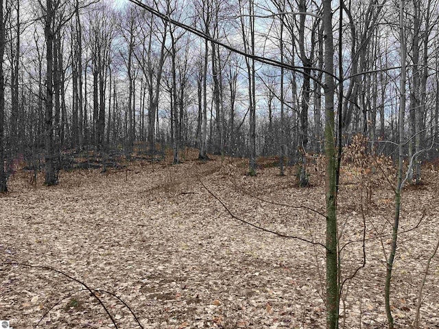 Listing photo 2 for LOT15 S Mistys Trl, Empire MI 49630