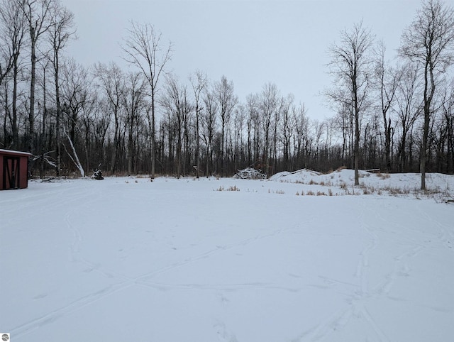 view of yard layered in snow