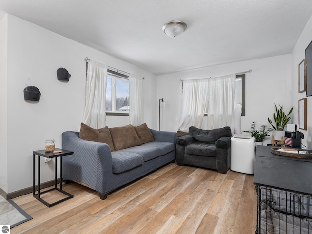 living room featuring light hardwood / wood-style flooring