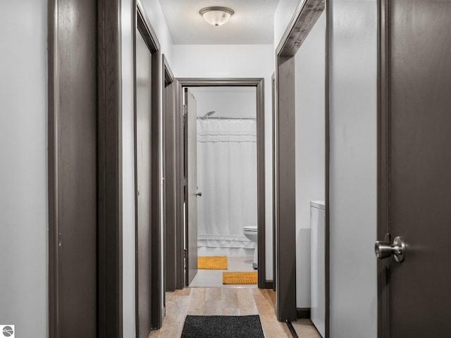 hallway with light hardwood / wood-style floors