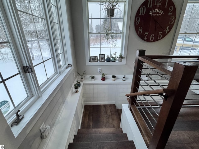 staircase featuring a wealth of natural light and hardwood / wood-style flooring