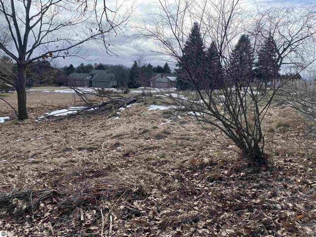 3130 Scenic Hills Dr, Williamsburg, MI 49690