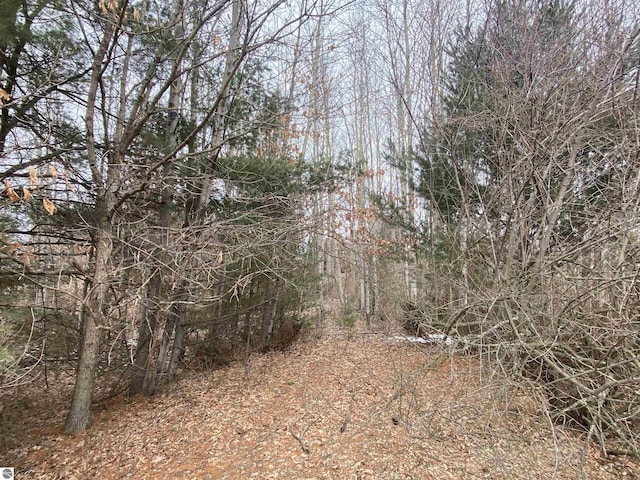 LOT33 Scenic Hills Dr, Williamsburg, MI 49690