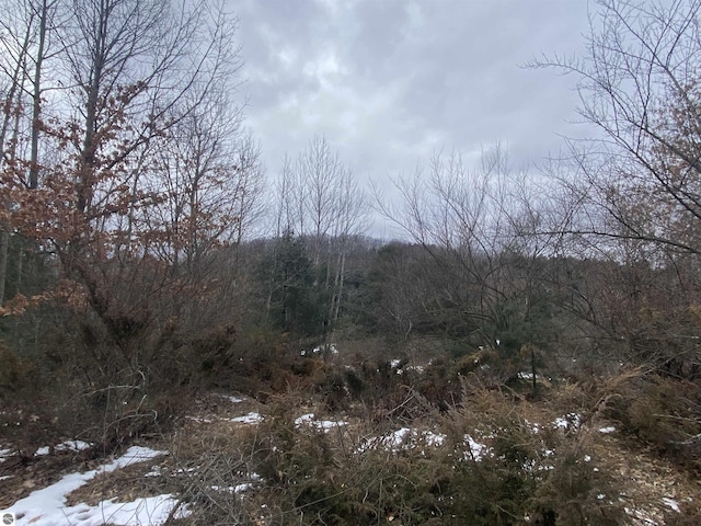 LOT33 Scenic Hills Dr, Williamsburg, MI 49690