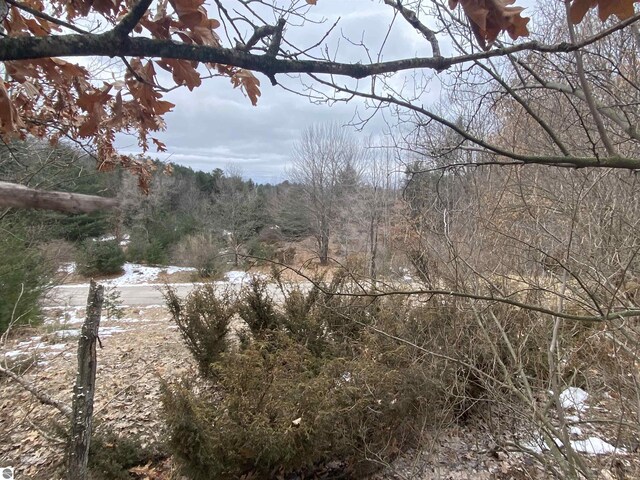 LOT33 Scenic Hills Dr, Williamsburg, MI 49690