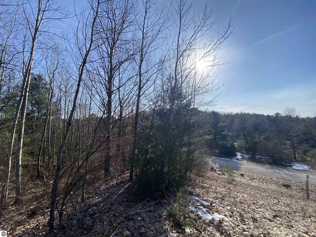 LOT33 Scenic Hills Dr, Williamsburg, MI 49690