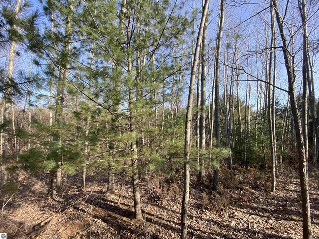 LOT33 Scenic Hills Dr, Williamsburg, MI 49690