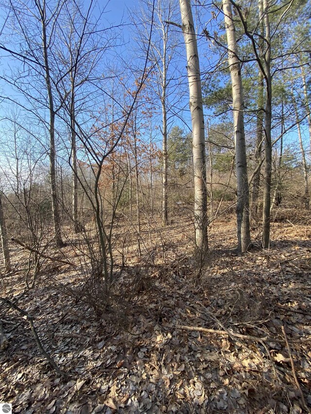 LOT33 Scenic Hills Dr, Williamsburg, MI 49690