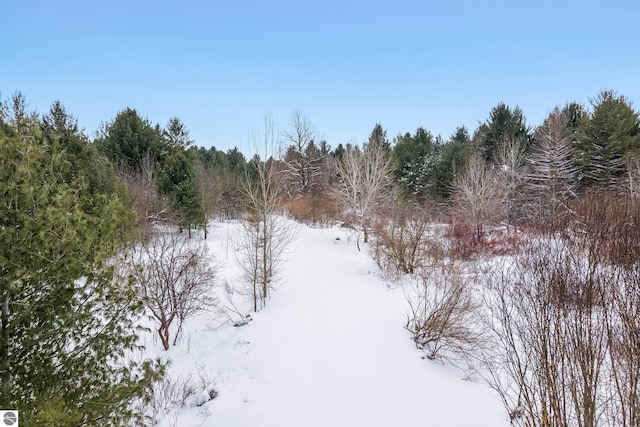 4611 Stover Rd, Bellaire MI, 49615 land for sale