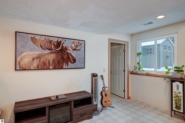 interior space with a textured ceiling and light carpet