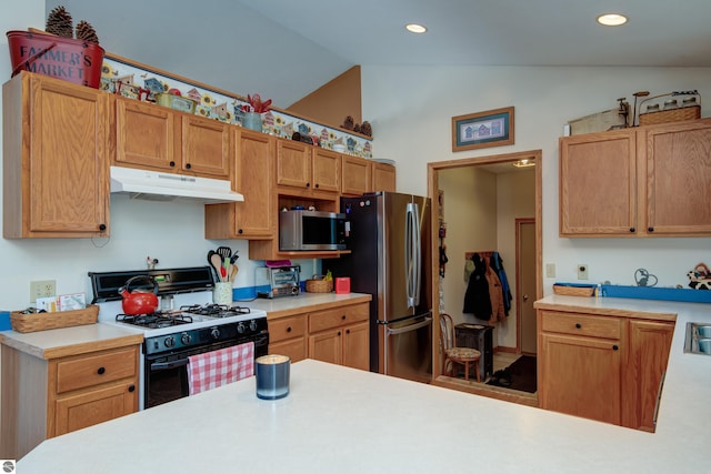 kitchen featuring lofted ceiling and stainless steel appliances