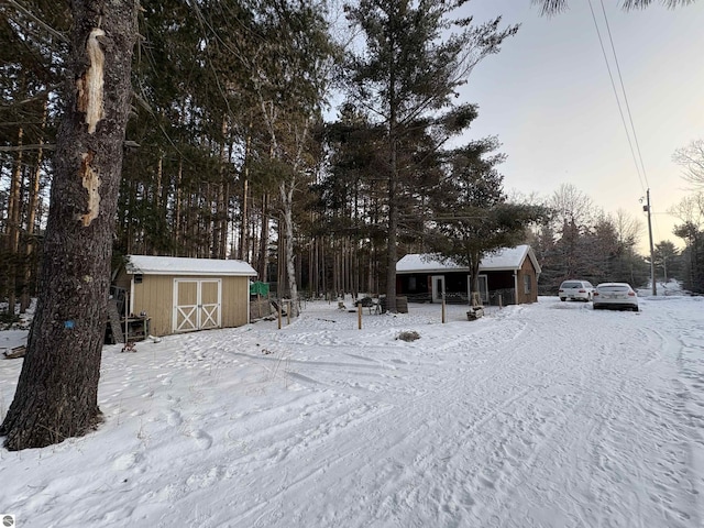 yard covered in snow with a shed