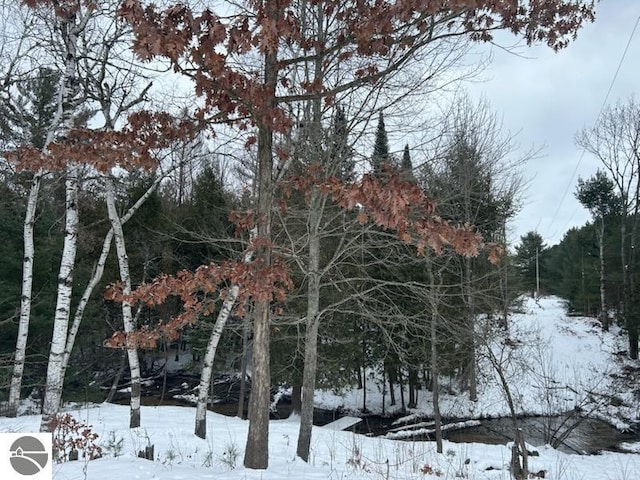 view of snowy landscape