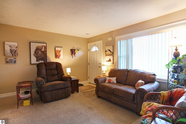 living room with carpet flooring