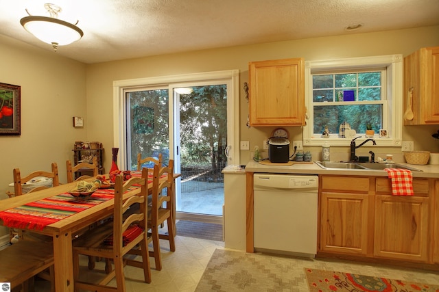 kitchen with sink and white dishwasher