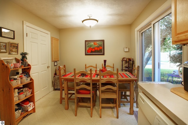 dining room featuring a textured ceiling