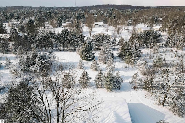 view of snowy aerial view