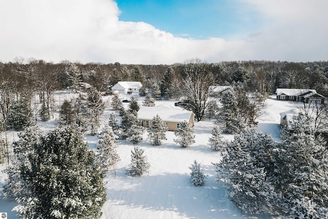 view of snowy aerial view