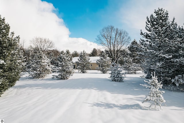 view of yard covered in snow