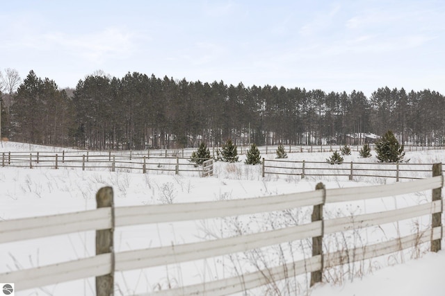 view of yard covered in snow