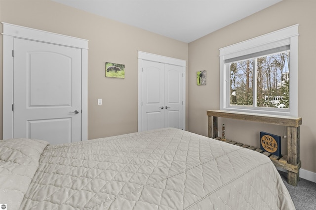 bedroom featuring carpet floors and a closet