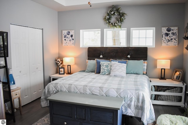 bedroom with multiple windows, a closet, and dark hardwood / wood-style flooring