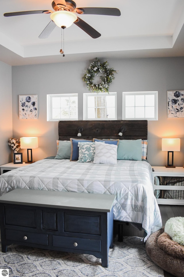 bedroom with ceiling fan, multiple windows, and a tray ceiling