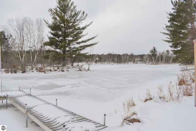 view of snowy yard