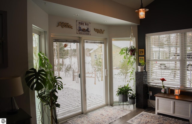 doorway to outside with a healthy amount of sunlight and hardwood / wood-style floors