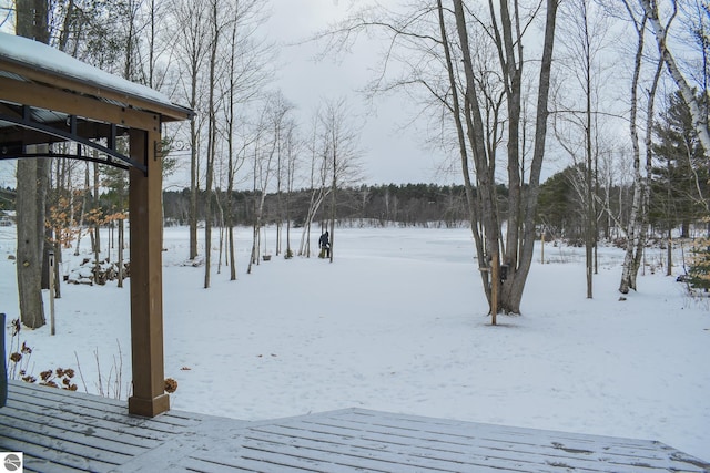 view of yard covered in snow