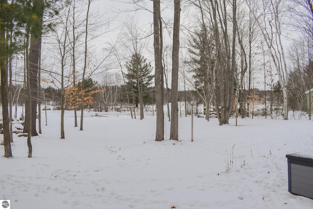 view of snowy yard