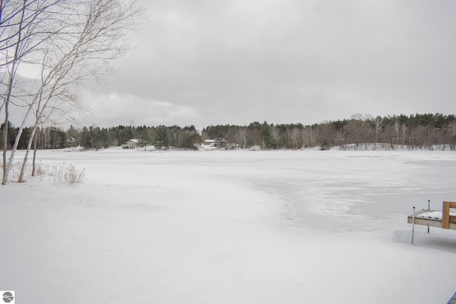 view of snowy yard