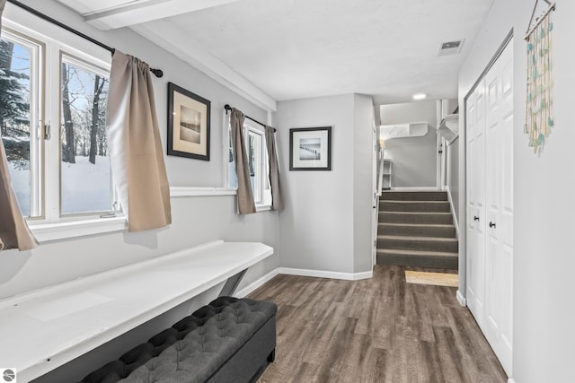 mudroom featuring wood-type flooring