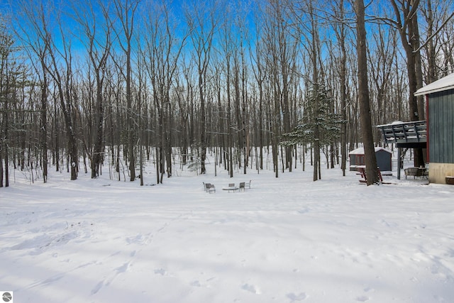 view of yard covered in snow