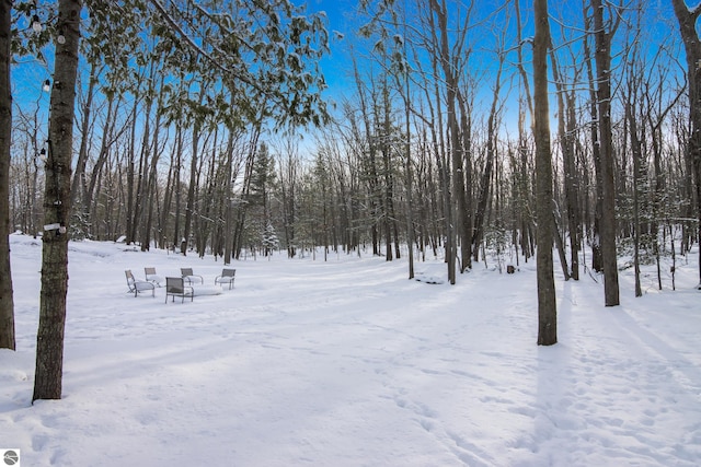 view of yard covered in snow