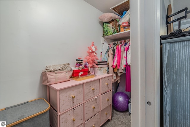 walk in closet with carpet flooring