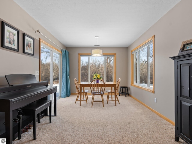 carpeted dining space featuring a textured ceiling