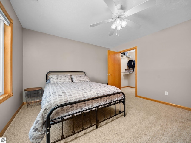 bedroom with ceiling fan, a walk in closet, a closet, and light carpet