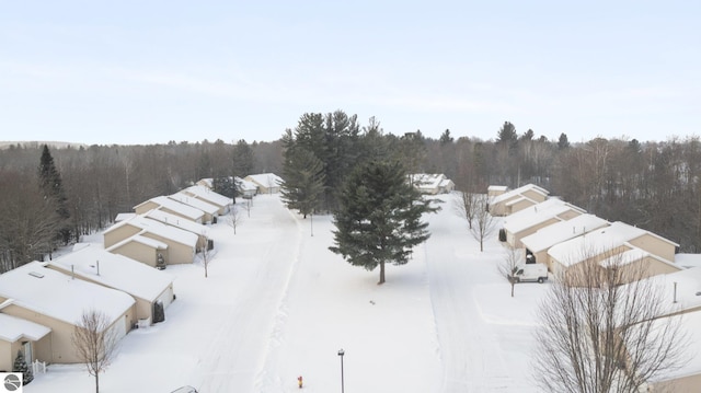 view of snowy aerial view