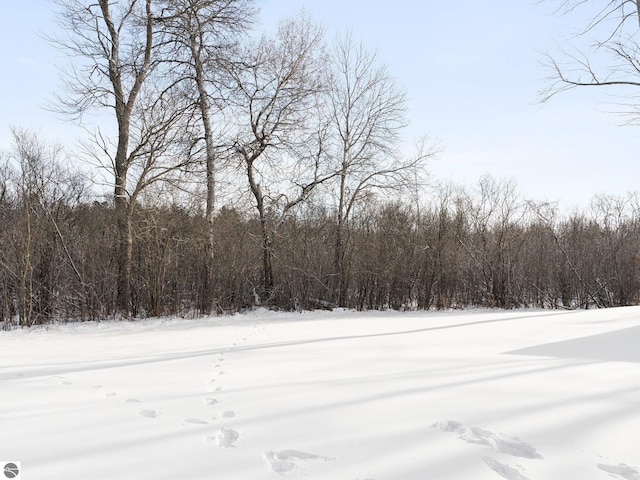 view of yard covered in snow