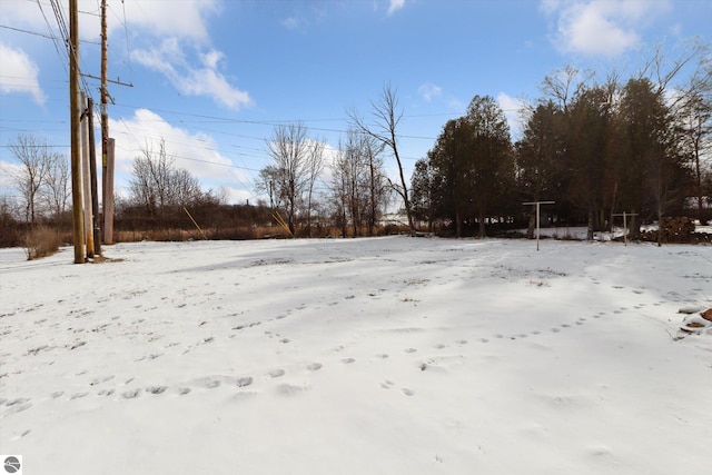 view of yard layered in snow