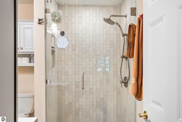 bathroom featuring toilet and walk in shower