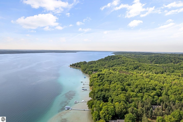 bird's eye view featuring a water view