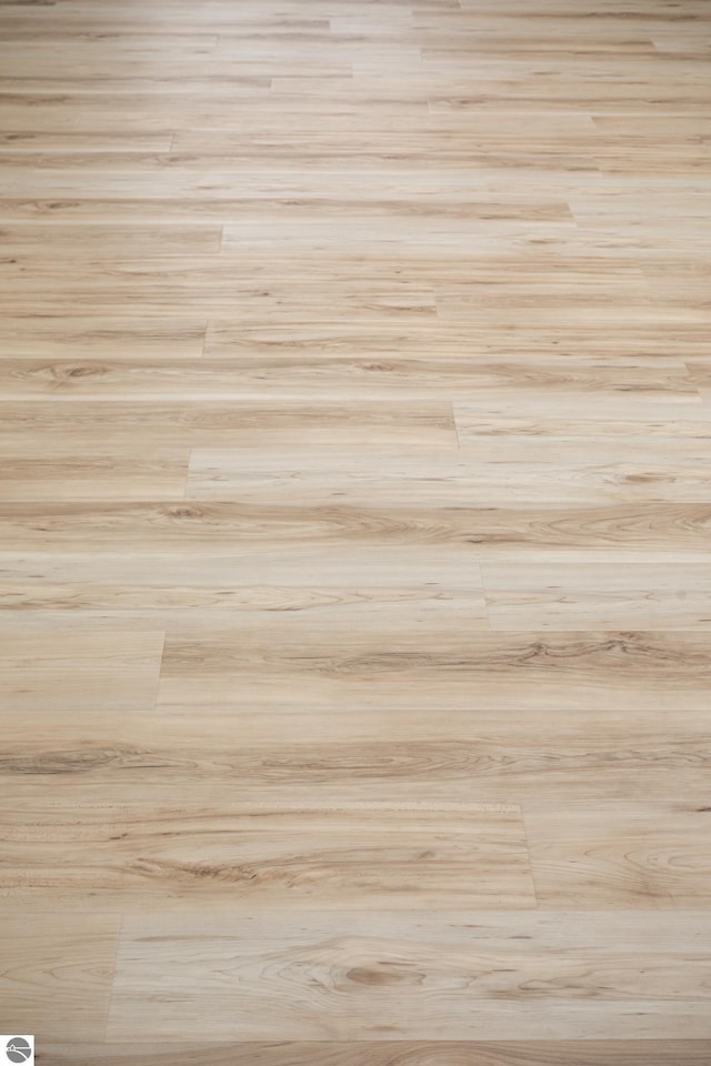 room details featuring wood-type flooring