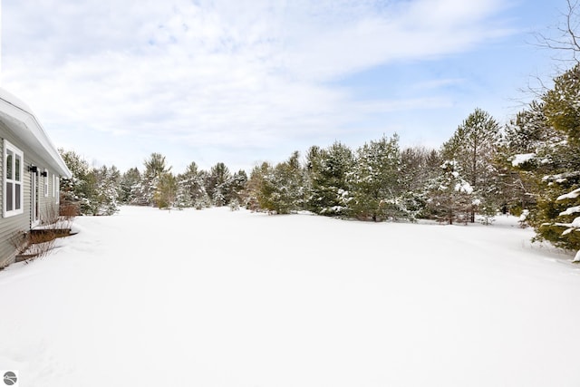 view of yard covered in snow