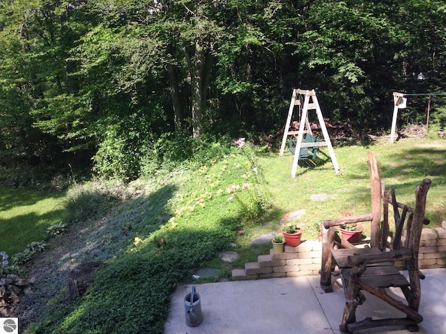 view of yard featuring a patio area and a playground