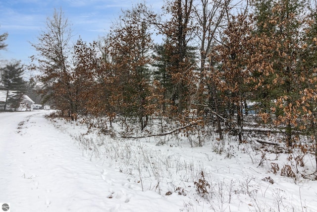 view of snowy landscape