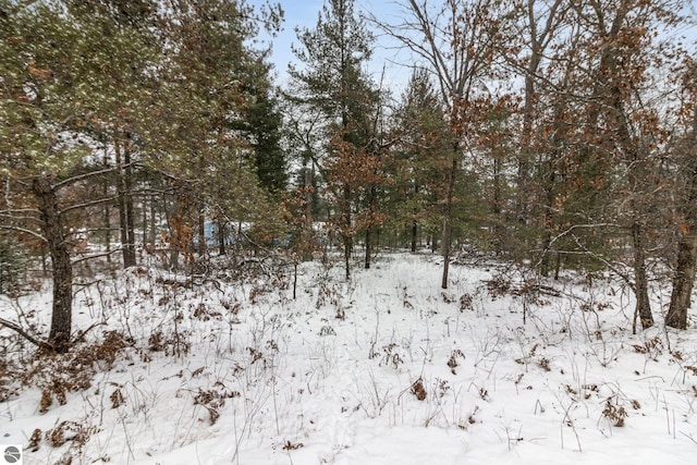 view of snowy landscape