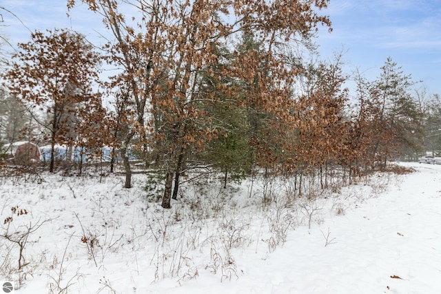 view of snowy view